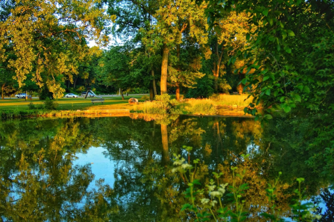 With A Foot Bridge And Riverside Trails, Curtiss Park In Michigan Is Downright Enchanting