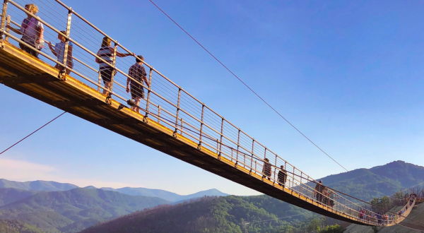 The Gatlinburg SkyBridge In East Tennessee Is The Longest Pedestrian Suspension Bridge In North America