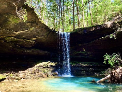 This Easy, 1.5-Mile Trail Leads To Coal Mine Branch Falls, One Of Alabama's Most Underrated Waterfalls