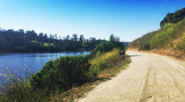 The Dreamy, Easy Walk Around Sulphur Creek Reservoir Loop In Southern California Is A Refreshing Hike On A Summer’s Day