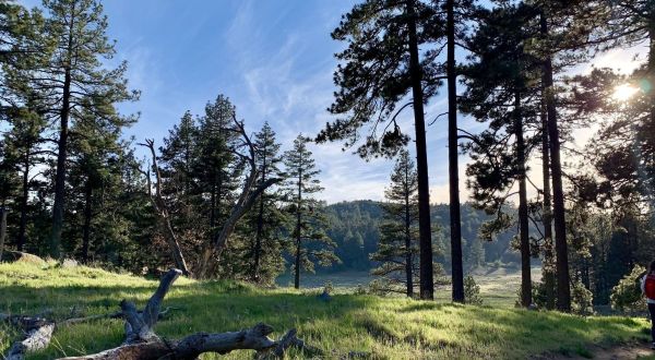 The Picturesque Hike At Laguna Meadows Loop In Southern California Is The Perfect Trail For Soaking Up The Sights And Sounds Of Nature