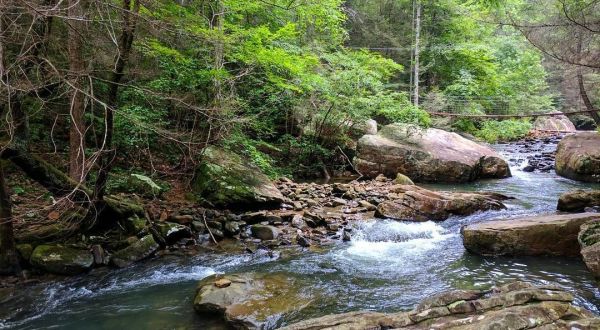 Hike To Julias Falls In Tennessee For Some Of The Most Breath-Taking Views In The State