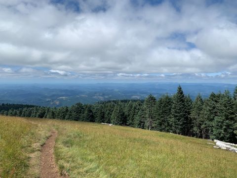 Take The Marys Peak Trail In Oregon For Views And Vistas That Go On Forever