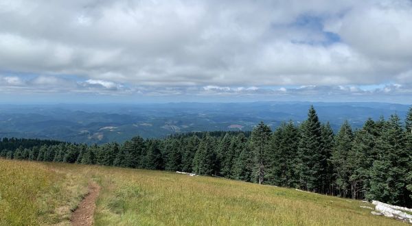 Take The Marys Peak Trail In Oregon For Views And Vistas That Go On Forever