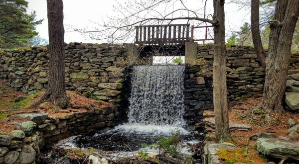 With Gorgeous Waterfalls, Ponds, And More, Douglas Forest Wallis Pond Loop Trail In Massachusetts Has It All