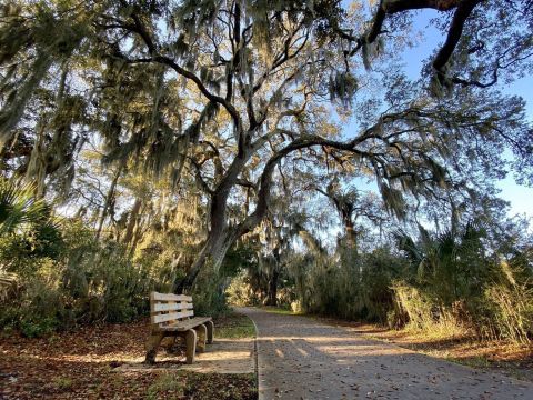 The Jekyll Island Bike Trail In Georgia Is Filled With Blossoming Wildflowers & Ocean Views