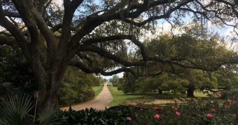 You'll Have A Hard Time Leaving The Peaceful Oasis That Is The Rip Van Winkle Gardens In Louisiana