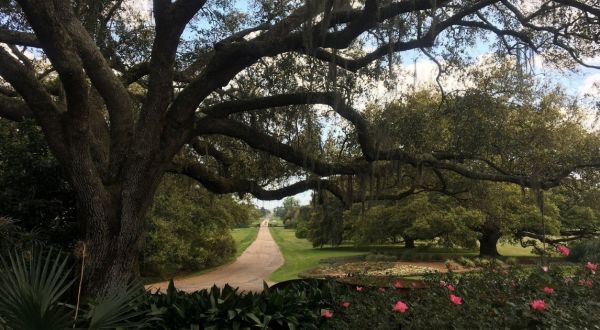 You’ll Have A Hard Time Leaving The Peaceful Oasis That Is The Rip Van Winkle Gardens In Louisiana