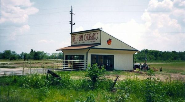 Take A Bite Out Of Summer At These 6 Roadside Peach Stands In Texas