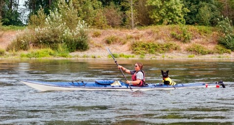 Luckiamute Landing In Oregon Is An Oasis For Hiking, Paddling, And Wildlife Viewing