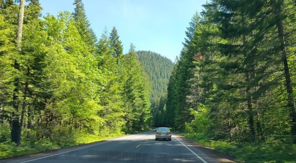 Roll The Windows Down And Take A Drive On The McKenzie Pass-Santiam Pass Scenic Byway In Oregon