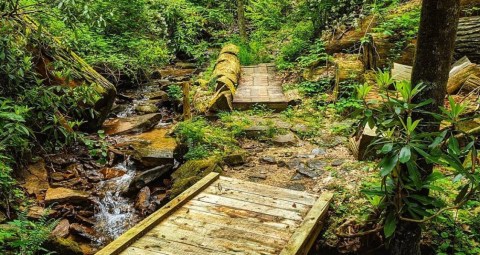 Take A Magical Little Loop Trail To Scenic Honeymoon Falls In Kentucky