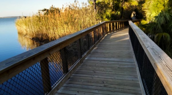 Village Point Park Preserve Is One Of Alabama’s Best-Kept Secrets