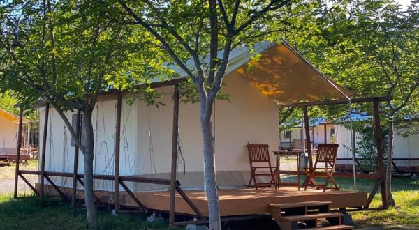 Camp In A Safari Tent By The Russian River When You Plan An Escape To Wildhaven In Northern California