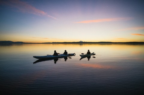 You Can Take A Magical Bioluminescence Kayak Tour In Washington