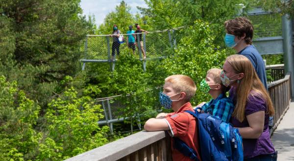 The Wild Walk At New York’s Wild Center Is Officially Accepting Reservations