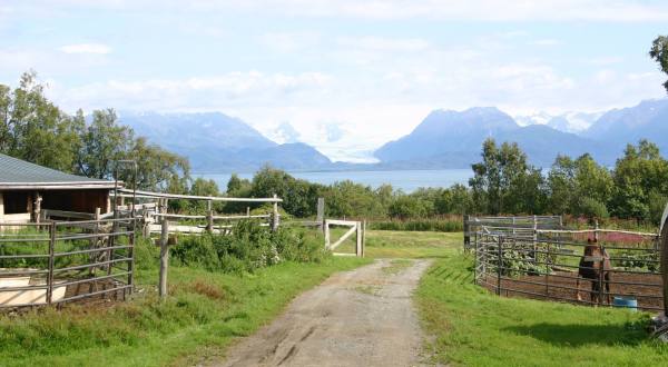 Stay On An Authentic Alaska Homestead When You Spend The Night At This Seaside Farm