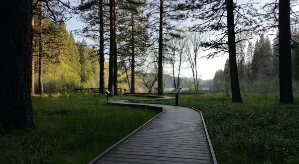 Sly Park Recreation Area Is An Incredible Spot In Northern California That Will Bring Out Your Inner Explorer