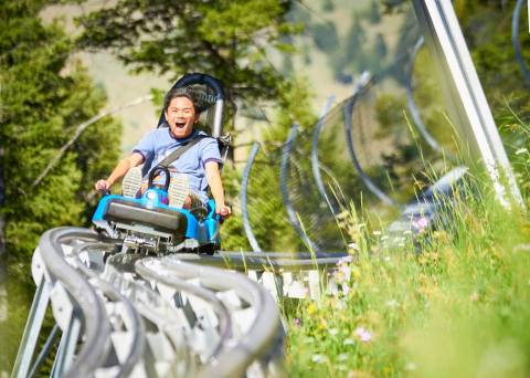 Take A Mountain Coaster Ride 7,800 Feet Above The Stunning Jackson Hole Valley In Wyoming