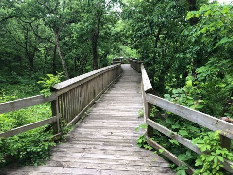 This Easy 18-Mile Trail Network In Missouri Features A Boardwalk, Limestone Boulders, And Wildflowers