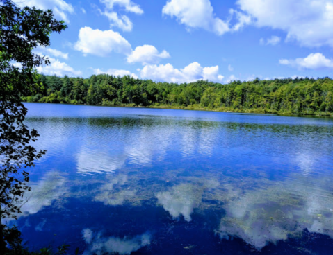 The Crystal Clear Waters At Lake Mansfield In Massachusetts Are Perfect To Explore On A Summer Day
