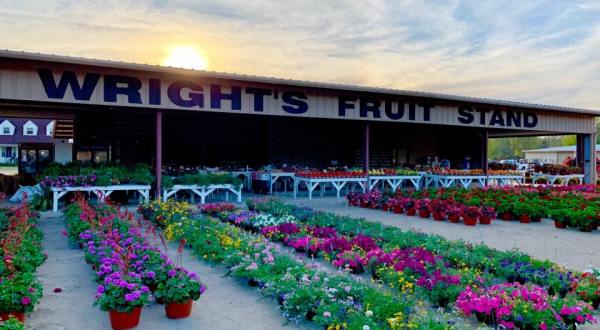 Stock Up On Fresh Fruits And Veggies At These 8 Mississippi Produce Stands    