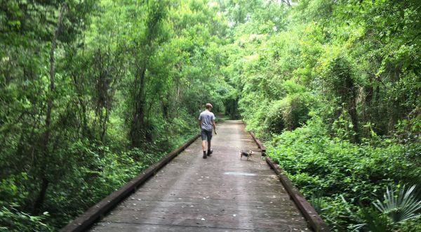 6 Tiny Trails In Louisiana With Mighty Views That Almost Anyone Can Hike