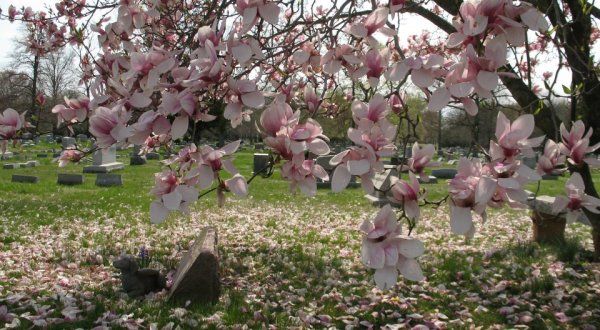 Eglington Cemetery Is One Of New Jersey’s Spookiest Cemeteries