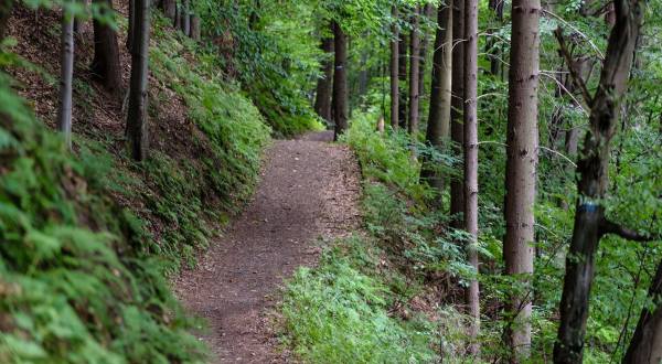 Get Lost In A Labyrinth Of Hiking Trails At Pere Marquette State Park In Illinois