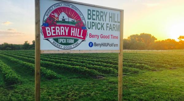 Pick Your Own Corn, Pumpkins, And Sunflowers At The Charming Berry Hill Farm Hiding In Kansas