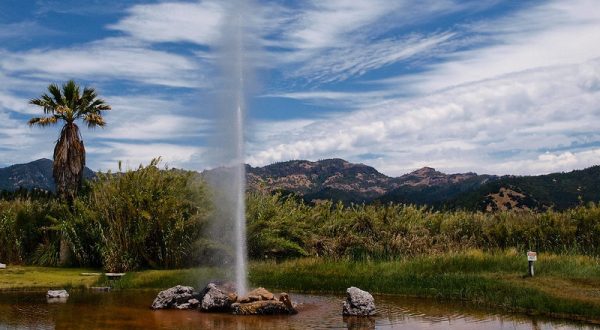 Northern California Boasts Its Very Own Old Faithful Geyser And It’s An Extraordinary Sight To See