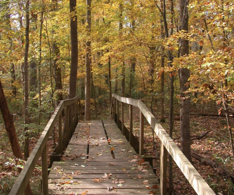 This Easy 5-Mile Trail Network In Louisiana Features A Boardwalk, An Aviary, And A Deer Pen