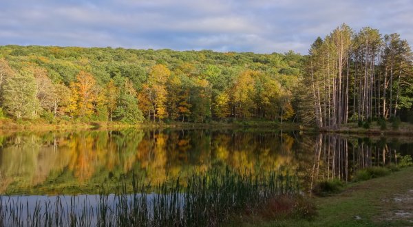 New Jersey Is Home To The Oldest Resident Environmental Field Center In The World And It Needs Your Help