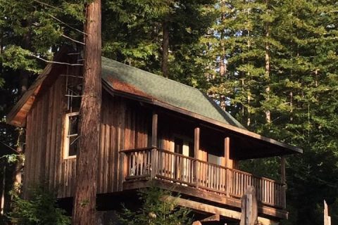 Awake To 360-Degree Scenic Views At This Unique Tree House Cabin In Northern California