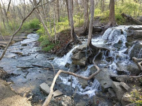 A 1.5-Mile Hiking Trail In Missouri, White Tail Trail Is Full Of Babbling Brooks