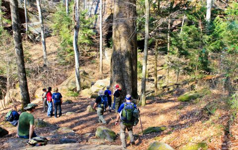 Awaken The Explorer In You With A Hike In Alabama's William B. Bankhead National Forest