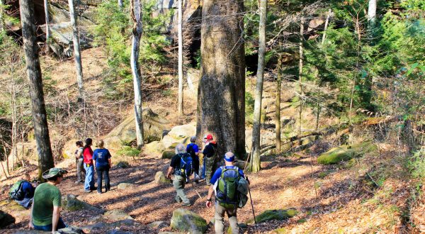 Awaken The Explorer In You With A Hike In Alabama’s William B. Bankhead National Forest