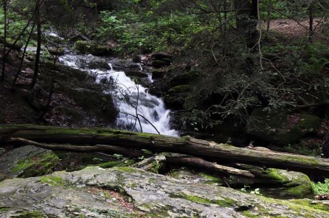 Tucquan Glen Loop Trail Is A Low-Key Pennsylvania Hike That Has An Amazing Payoff