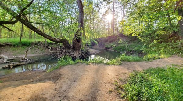 Spend The Day Splashing In Middle Creek At Its Scenic Park In Kentucky