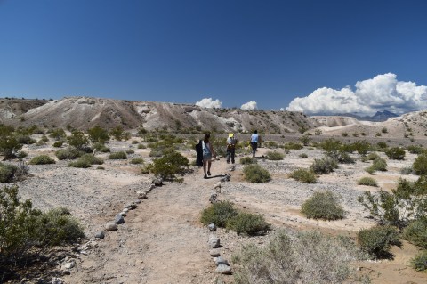 Explore One Of The Country's Richest Fossil Beds At Ice Age Fossils State Park In Nevada