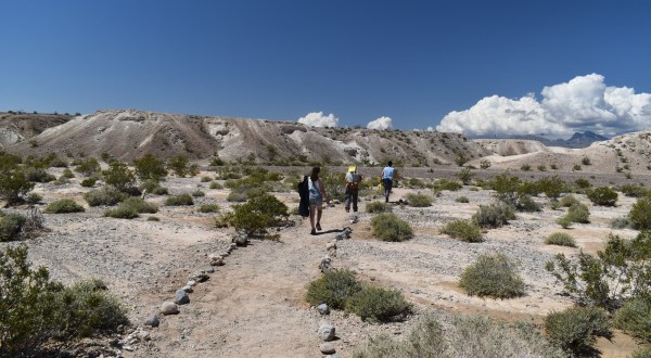 Explore One Of The Country’s Richest Fossil Beds At Ice Age Fossils State Park In Nevada