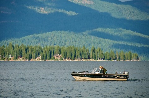 Lake Almanor Is One Of The Most Underrated Summer Destinations In Northern California