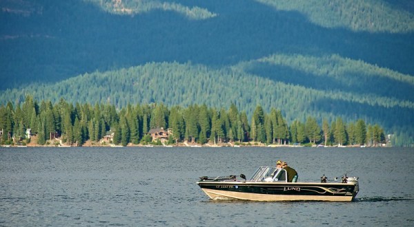 Lake Almanor Is One Of The Most Underrated Summer Destinations In Northern California