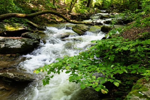 Cross A Flowing Creek On This Scenic Trail At Climbers Run Nature Preserve In Pennsylvania