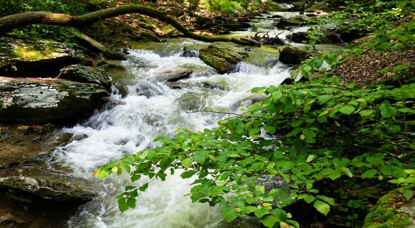 Cross A Flowing Creek On This Scenic Trail At Climbers Run Nature Preserve In Pennsylvania