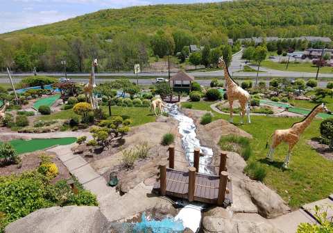 Enjoy Some Family-Friendly Fun At Safari Golf, A Themed Putt Putt Course In Connecticut