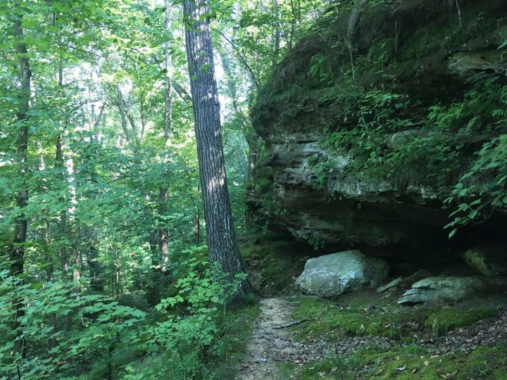 Hike in Goreville, Illinois