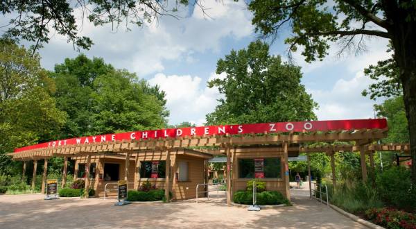 Fort Wayne Children’s Zoo In Indiana Is Officially Open And Here’s What You Need To Know