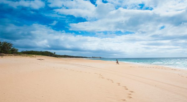 Find The Perfect Place To Sprawl Out On 3 Miles Of Sandy Beach At Papohaku Beach In Hawaii
