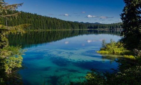 A 3,000-Year-Old Forest Lies Beneath The Surface Of Clear Lake In Oregon